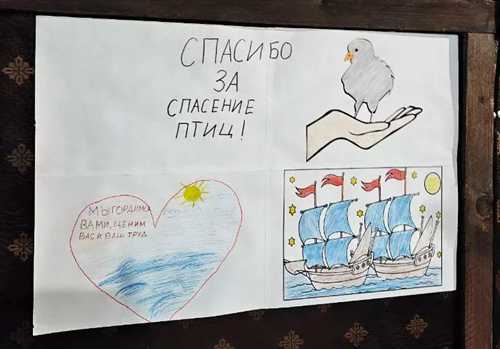 что важно упомянуть о проекте или событии