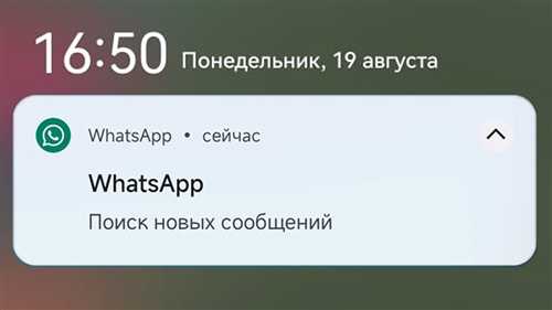 настройки уведомлений: что важно учесть для комфортного использования