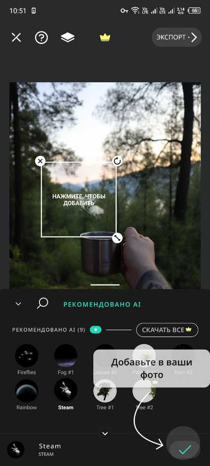 советы по освоению приложения «оживи» для максимальной пользы