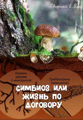 инструменты для групповых обсуждений