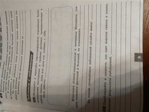 саванны и степи