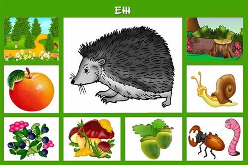 лесные экосистемы