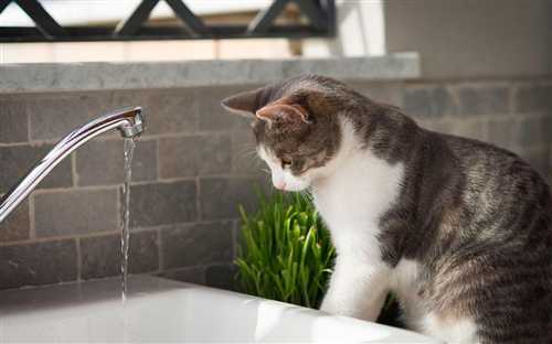 дополнительные источники информации